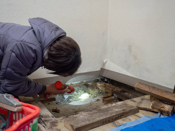 Best Mold Documentation for Insurance Claims  in Calcium, NY