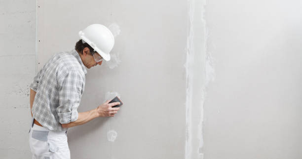 Best Basement Mold Removal  in Calcium, NY