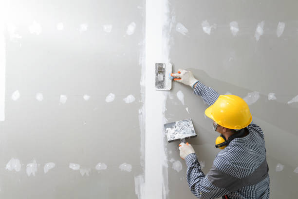 Best Comprehensive Air Testing for Mold Contaminants  in Calcium, NY
