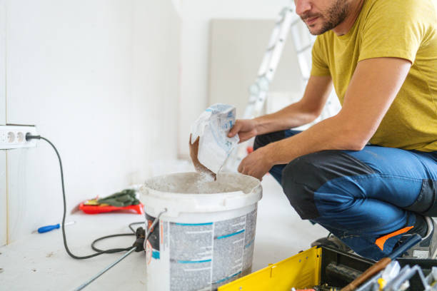 Mold Odor Removal Services in Calcium, NY