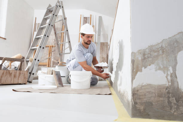 Best Mold Remediation for Rental Properties  in Calcium, NY