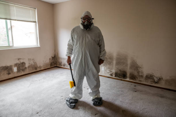 Best Air Quality Testing for Mold Spores  in Calcium, NY